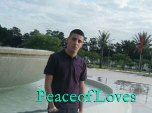 PeaceofLoves