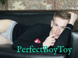 PerfectBoyToy