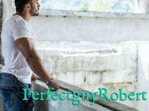 PerfectguyRobert