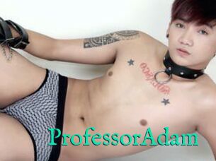 ProfessorAdam