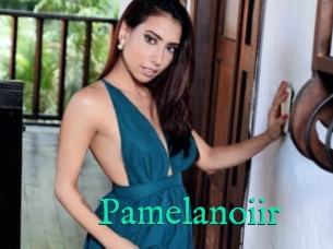 Pamelanoiir