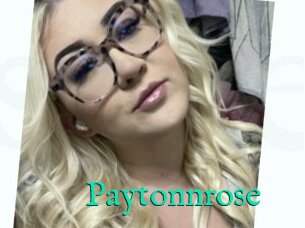 Paytonnrose