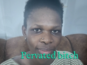 Pervated_bitch