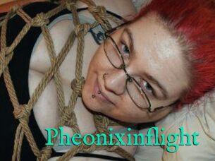 Pheonixinflight