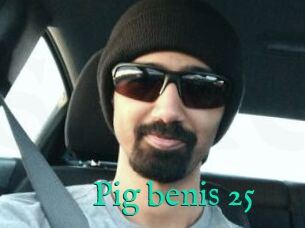 Pig_benis_25