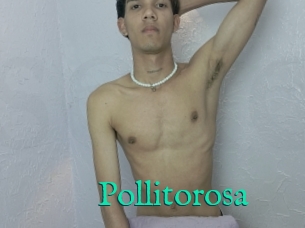 Pollitorosa