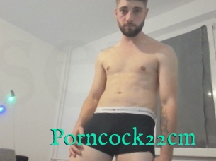 Porncock22cm