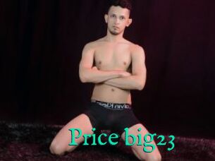 Price_big23