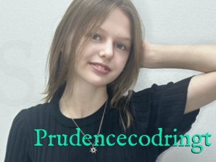 Prudencecodringt