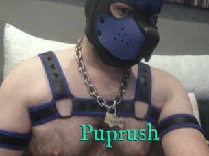 Puprush