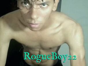 RogueBoy22