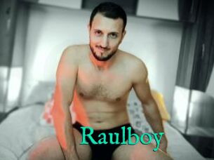 Raulboy