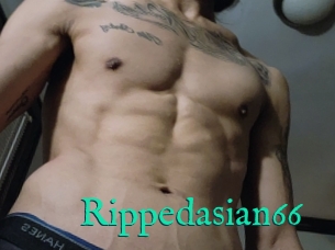 Rippedasian66