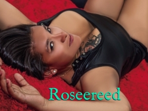 Roseereed