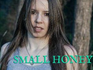 SMALL_HONEY