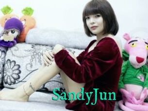 SandyJun