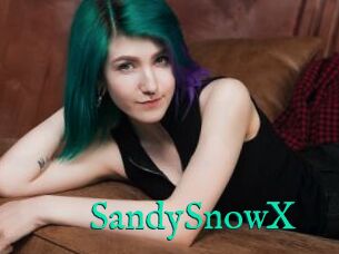 SandySnowX