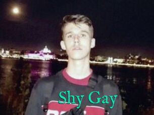 Shy_Gay