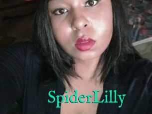 SpiderLilly