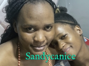 Sandycanice