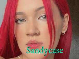 Sandycase