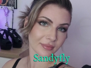 Sandyfly