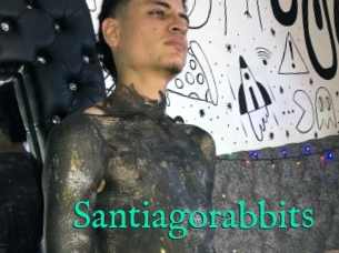 Santiagorabbits