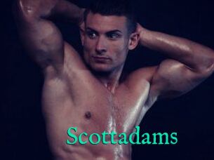 Scottadams