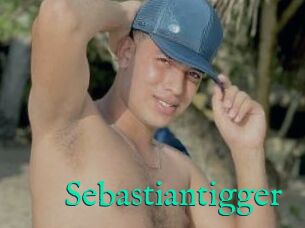 Sebastiantigger