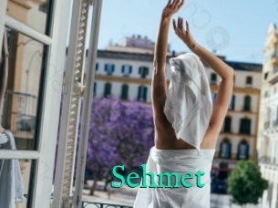 Sehmet