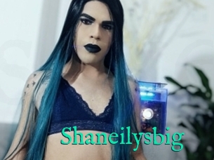 Shaneilysbig