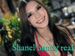 Shanel_bunny_real