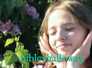 Sibleyhalloway