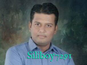 Siliboy7291