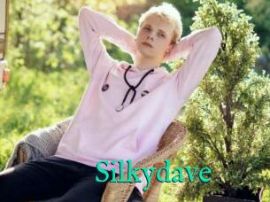 Silkydave