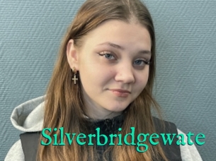 Silverbridgewate