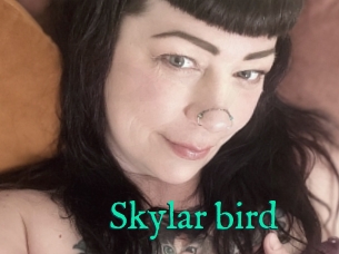 Skylar_bird