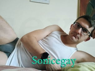 Sonicegay