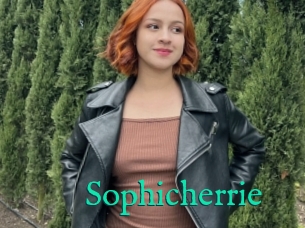 Sophicherrie