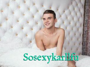 Sosexykarllfu