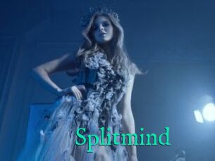 Splitmind