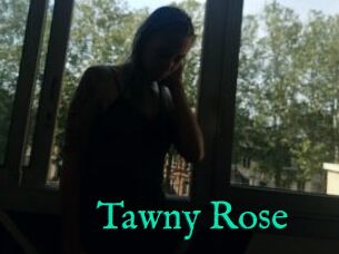 Tawny_Rose