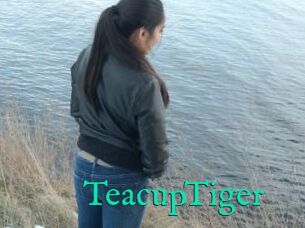 TeacupTiger