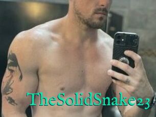 TheSolidSnake23