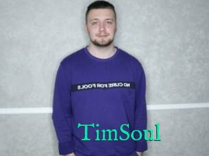 TimSoul