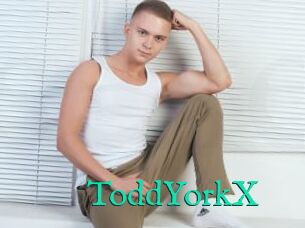 ToddYorkX