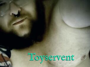 Toyservent