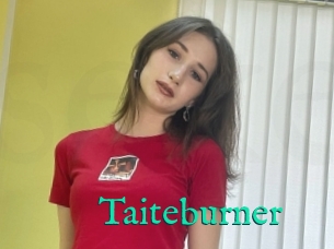 Taiteburner