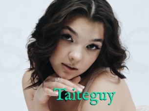 Taiteguy