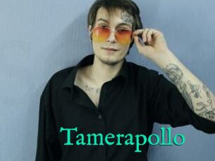 Tamerapollo